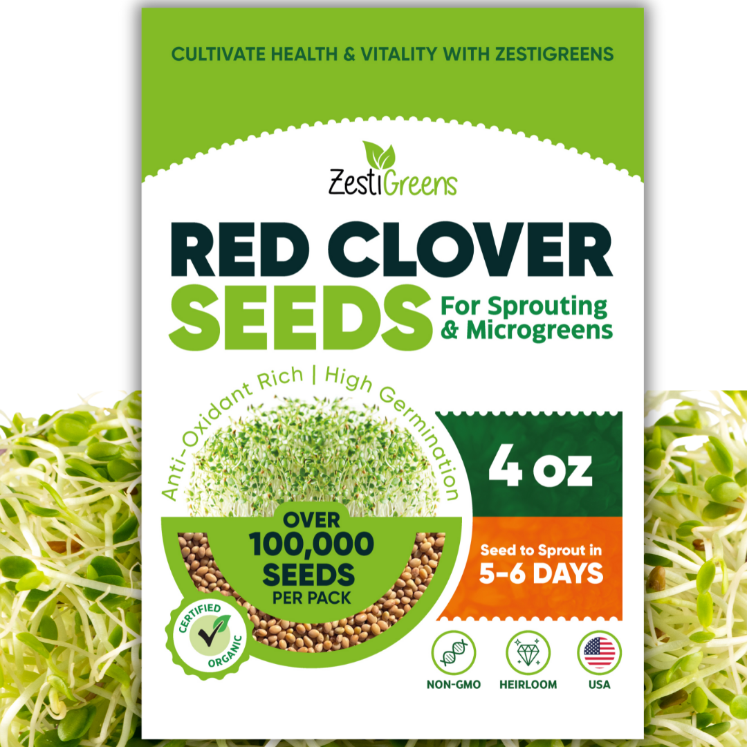 Organic Red Clover Seeds for Sprouting - Non-GMO, USA Grown Microgreens Sprouting Seeds