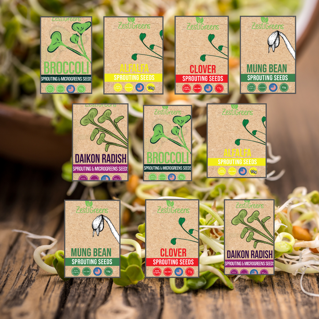 10 Variety Pack of Fresh Sprouting Seeds