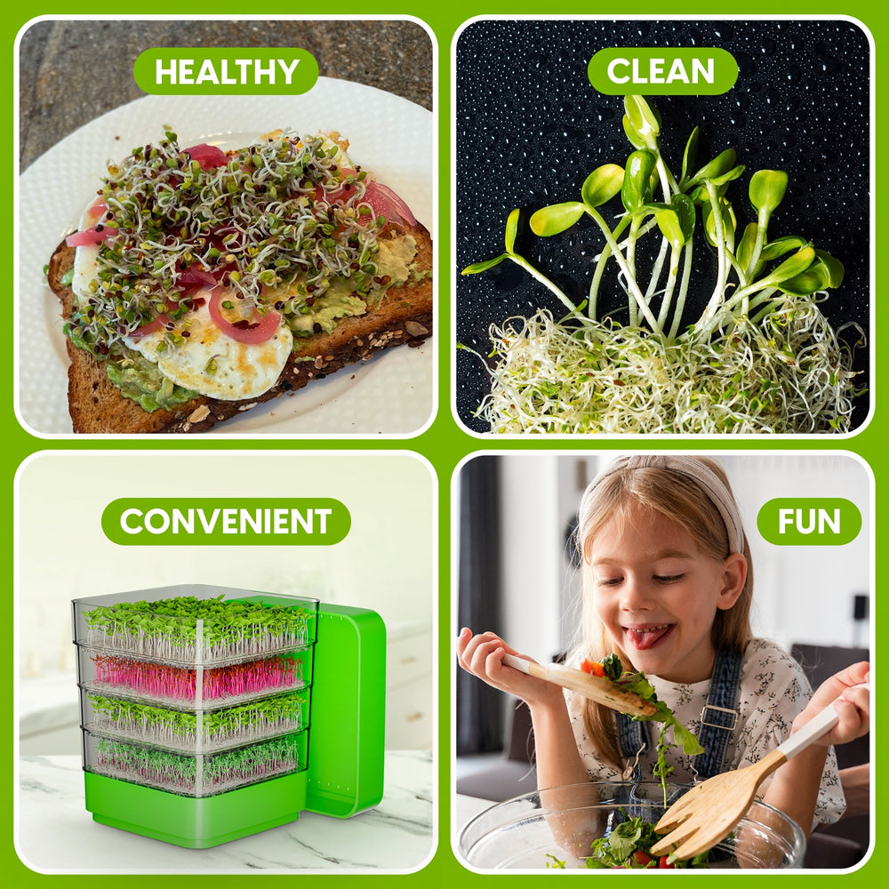 
                  
                    Sprouts Growing Kit, 4-Tier Stackable Seed Sprouter Trays with Sprout Lid, Blackout Sleeve & Drain Tray. This sprouting kit is the easy way to grow Broccoli Sprouts, Alfalfa Sprouts and Bean Sprouts.
                  
                