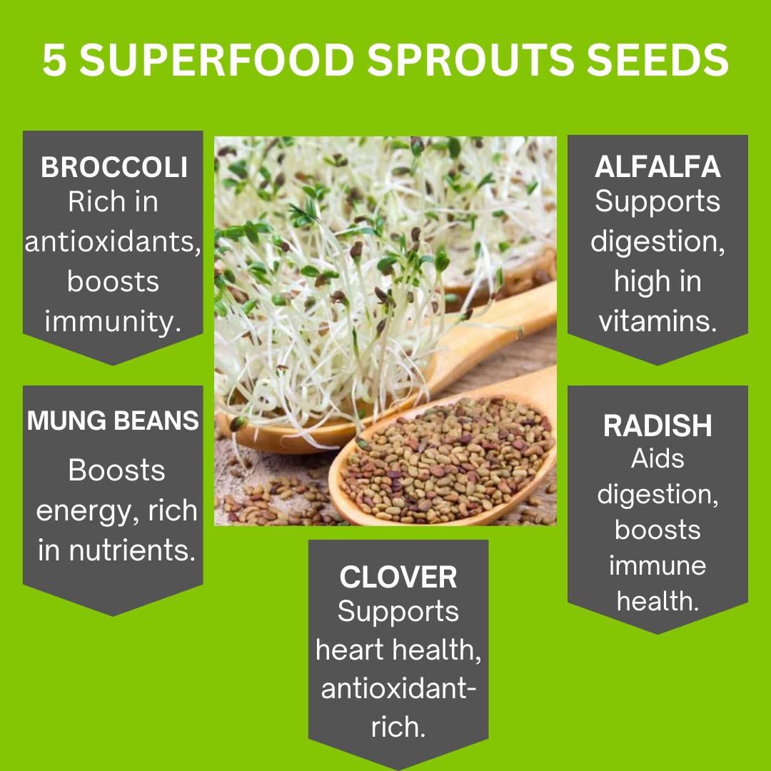 10 Variety Pack of Fresh Sprouting Seeds