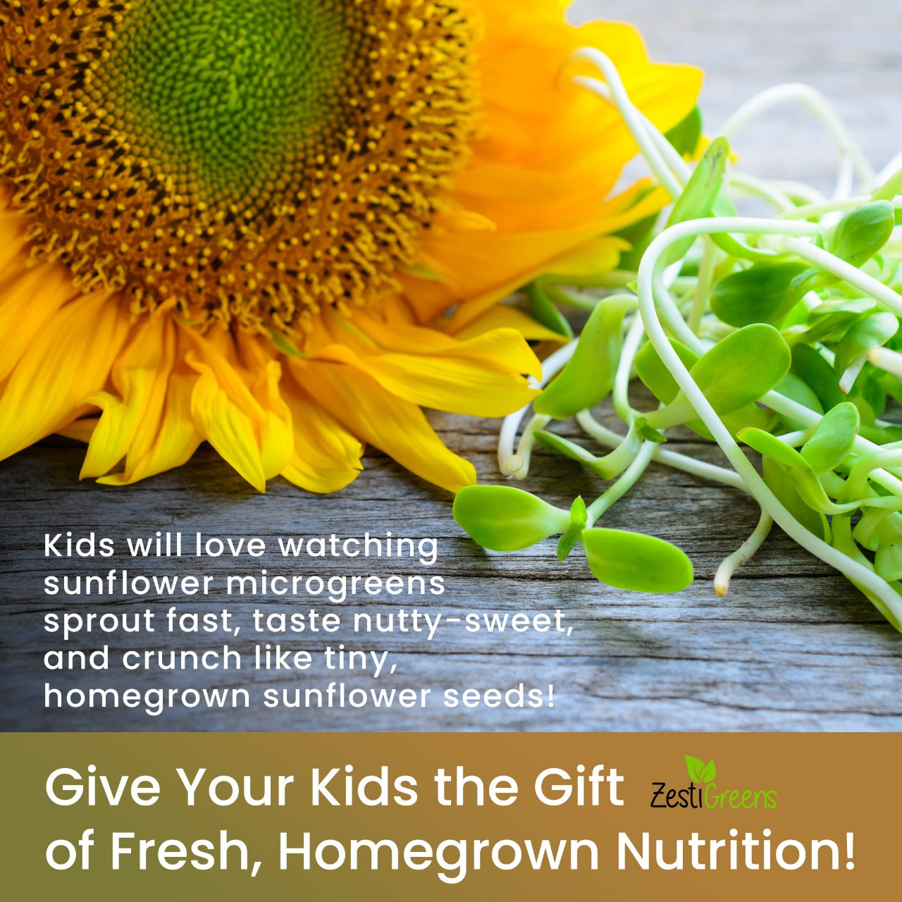 Grow-Your-Own Microgreens Kit for Kids – Sunflower and Melon Microgreens with Magical Expanding Soil!