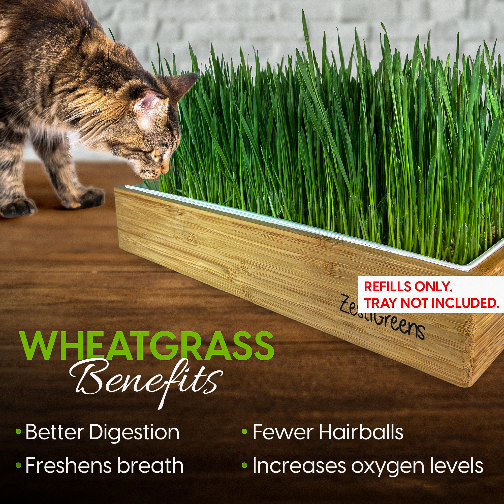 Cat Grass Refills
