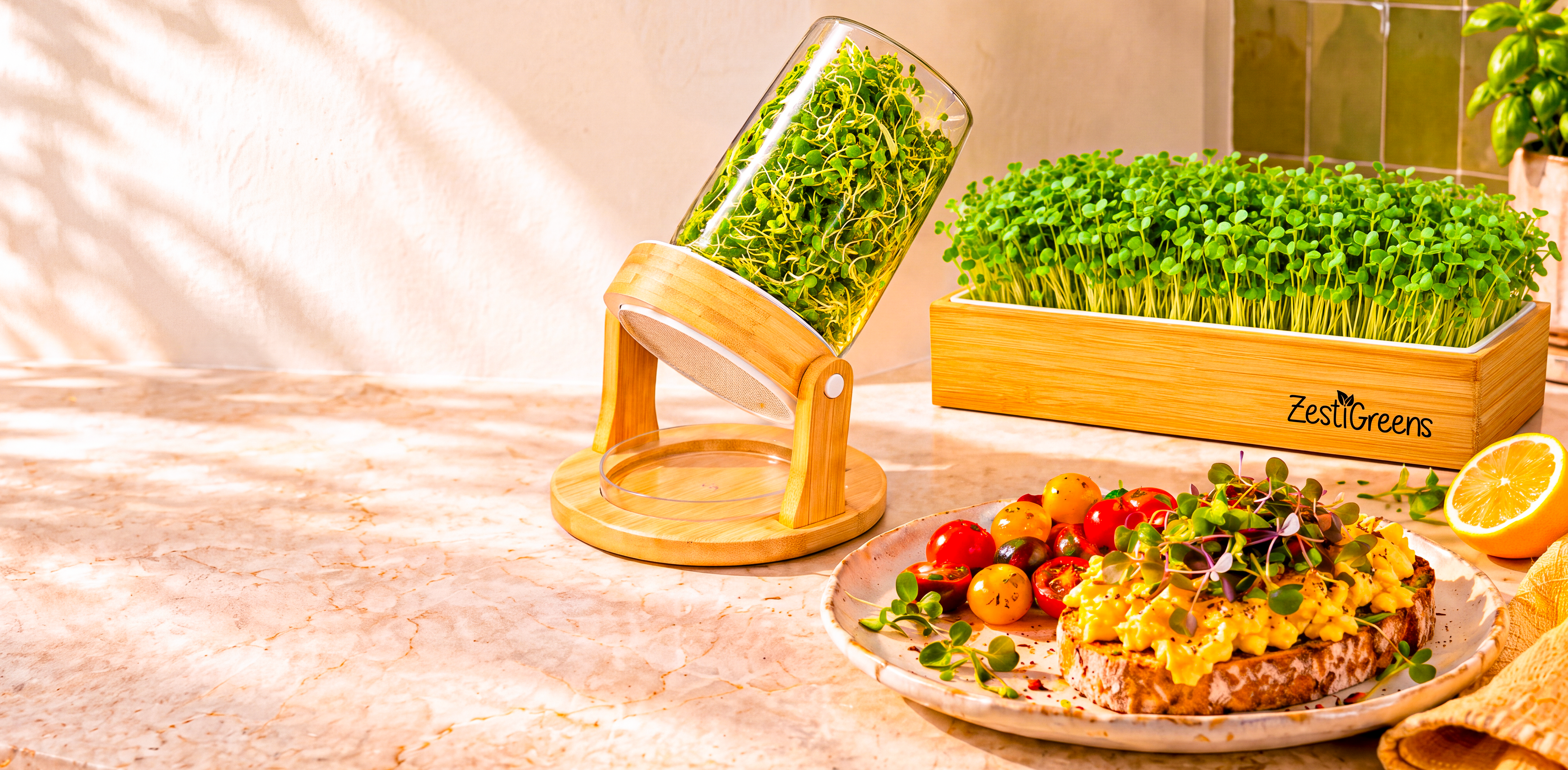 Styled kitchen scene featuring the bamboo sprouting jar set with fully grown sprouts, a self watering microgreens kit and toast topped with fresh greens