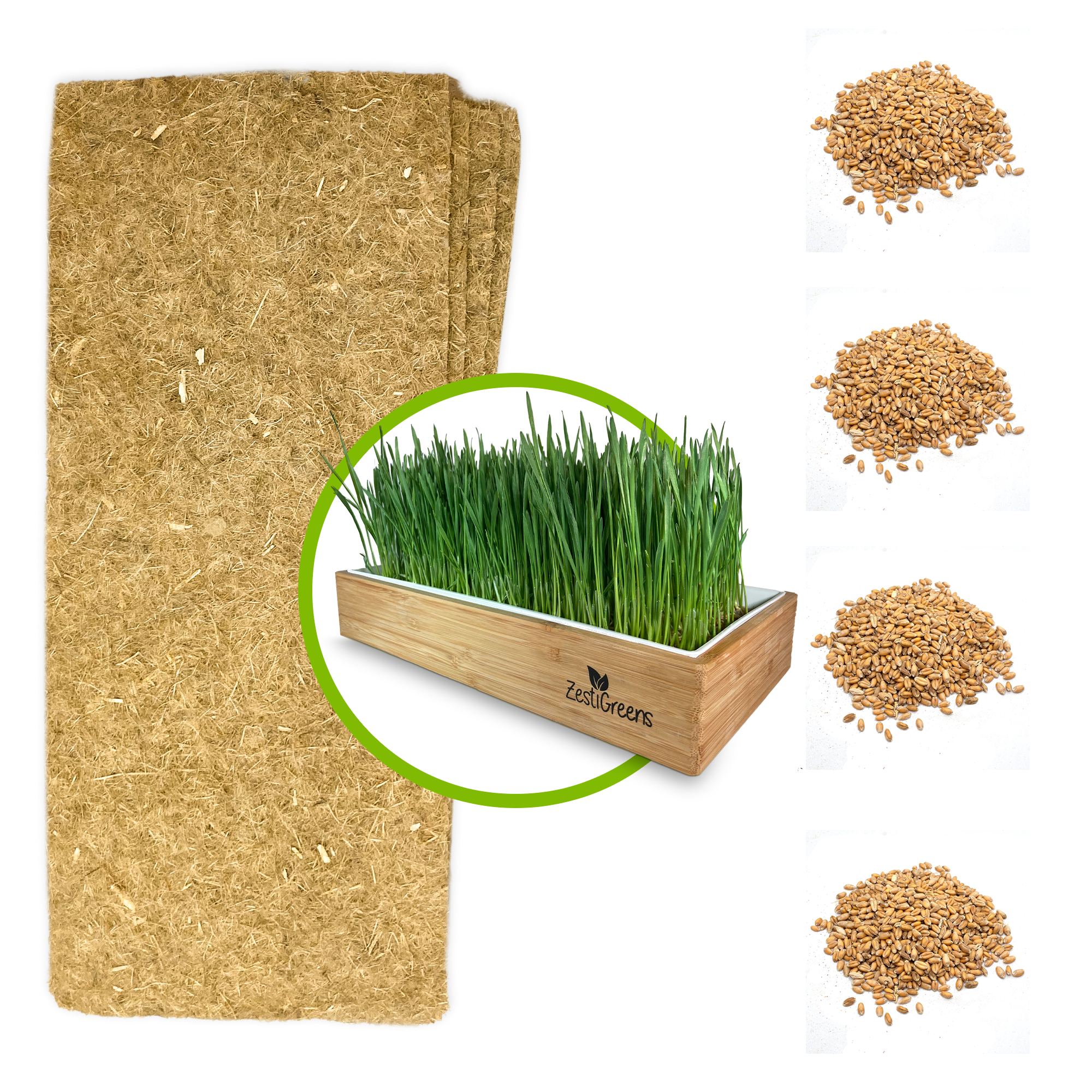 Zesti Green Cat Grass Refills Kit