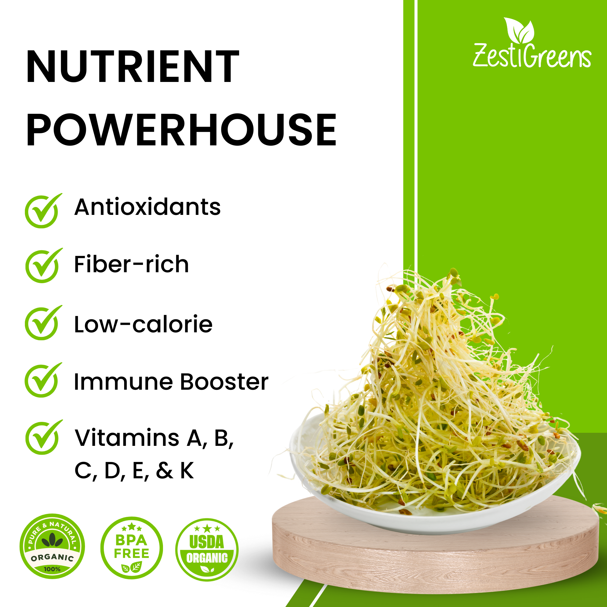 Premium USA Alfalfa Seeds for Sprouting & Microgreens