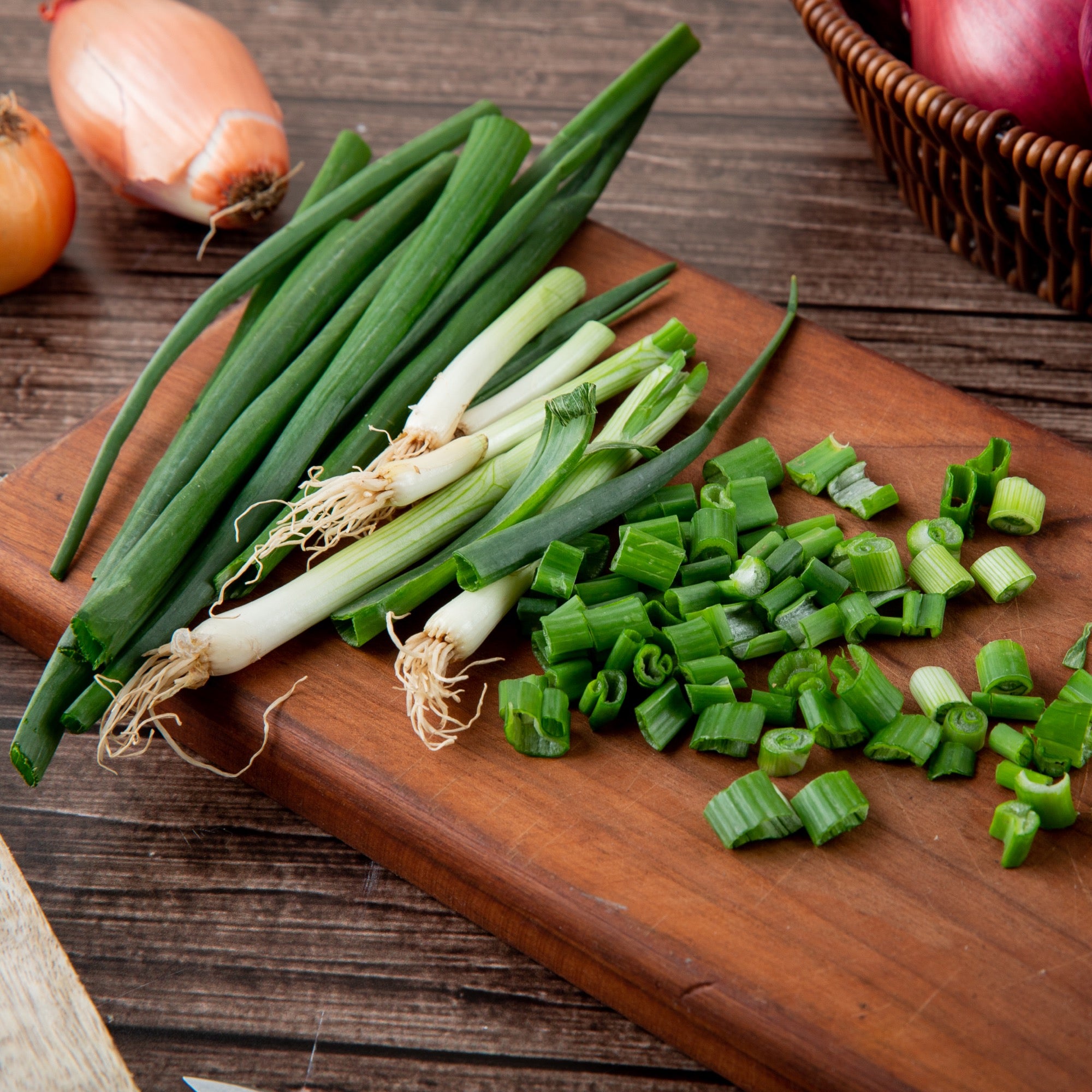 Green Onion Regrower - ZestiGreens