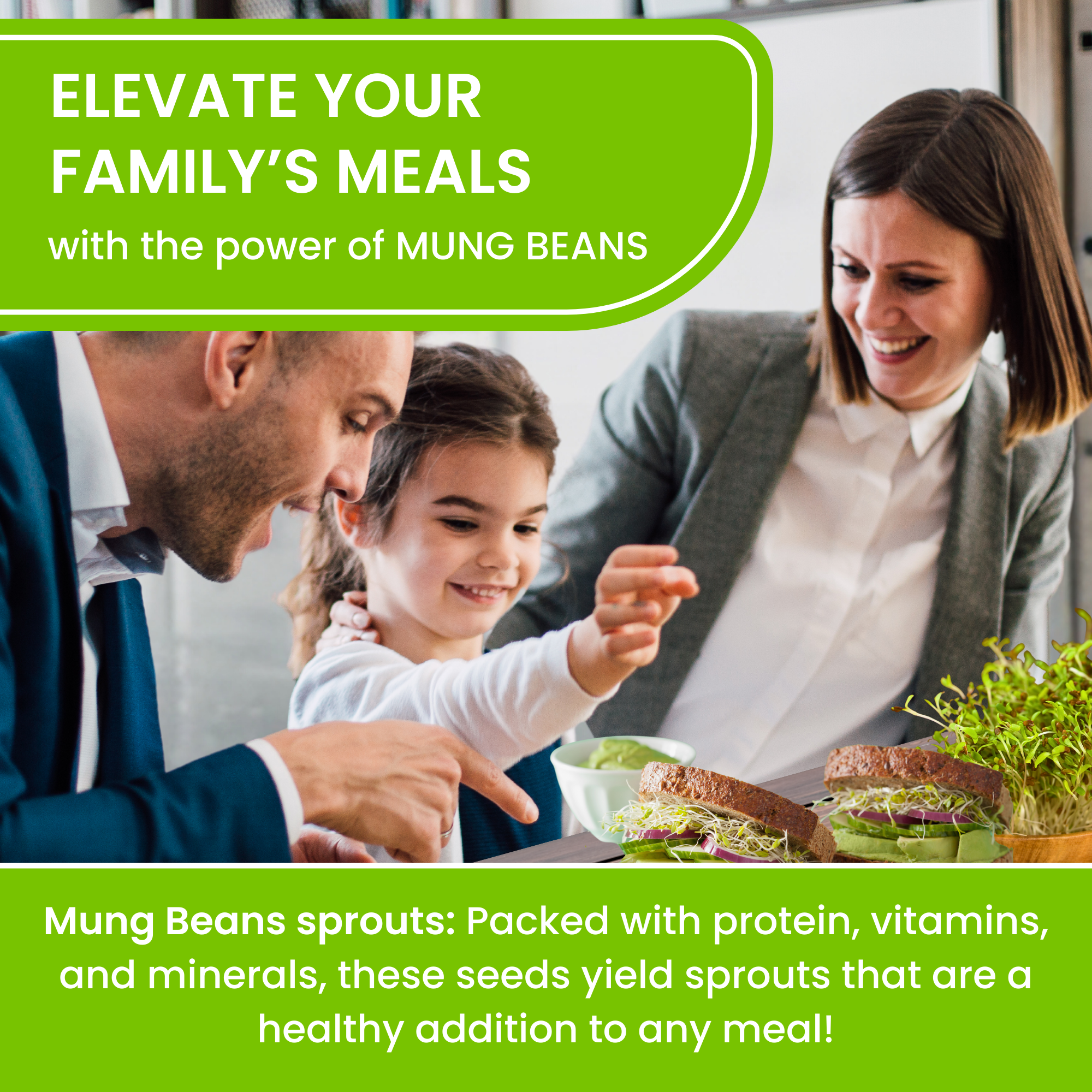 Mung Bean Sprouting Seeds - NON GMO