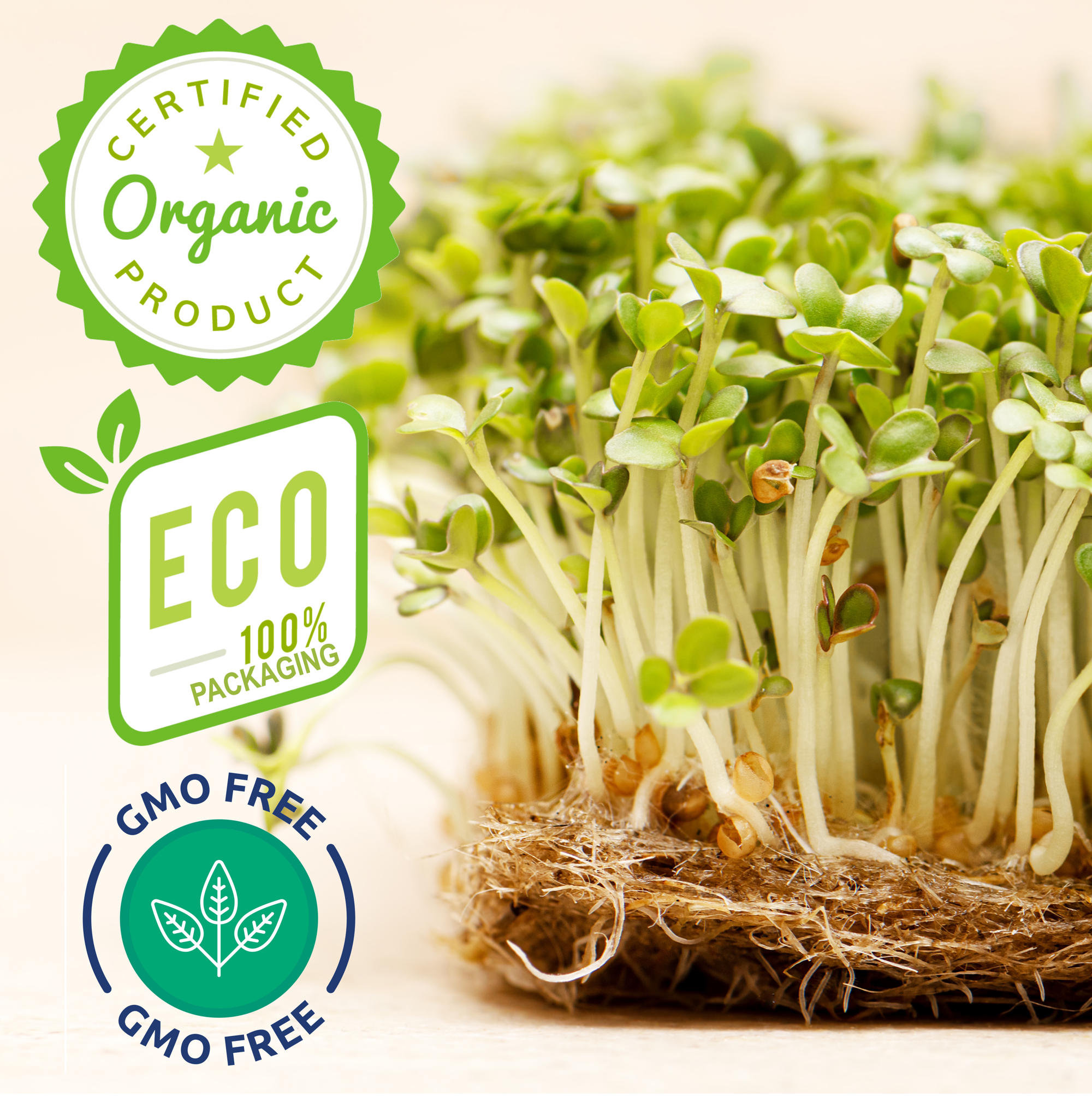 Organic Arugula Microgreens Seeds