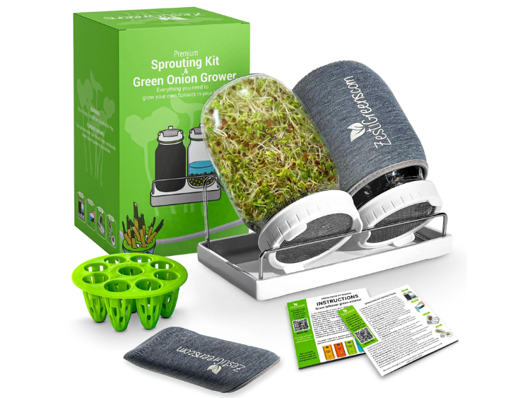Sprout Kit + Red Clover Seeds