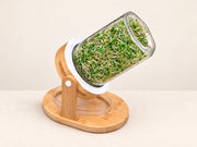 The Showpiece Sprouter