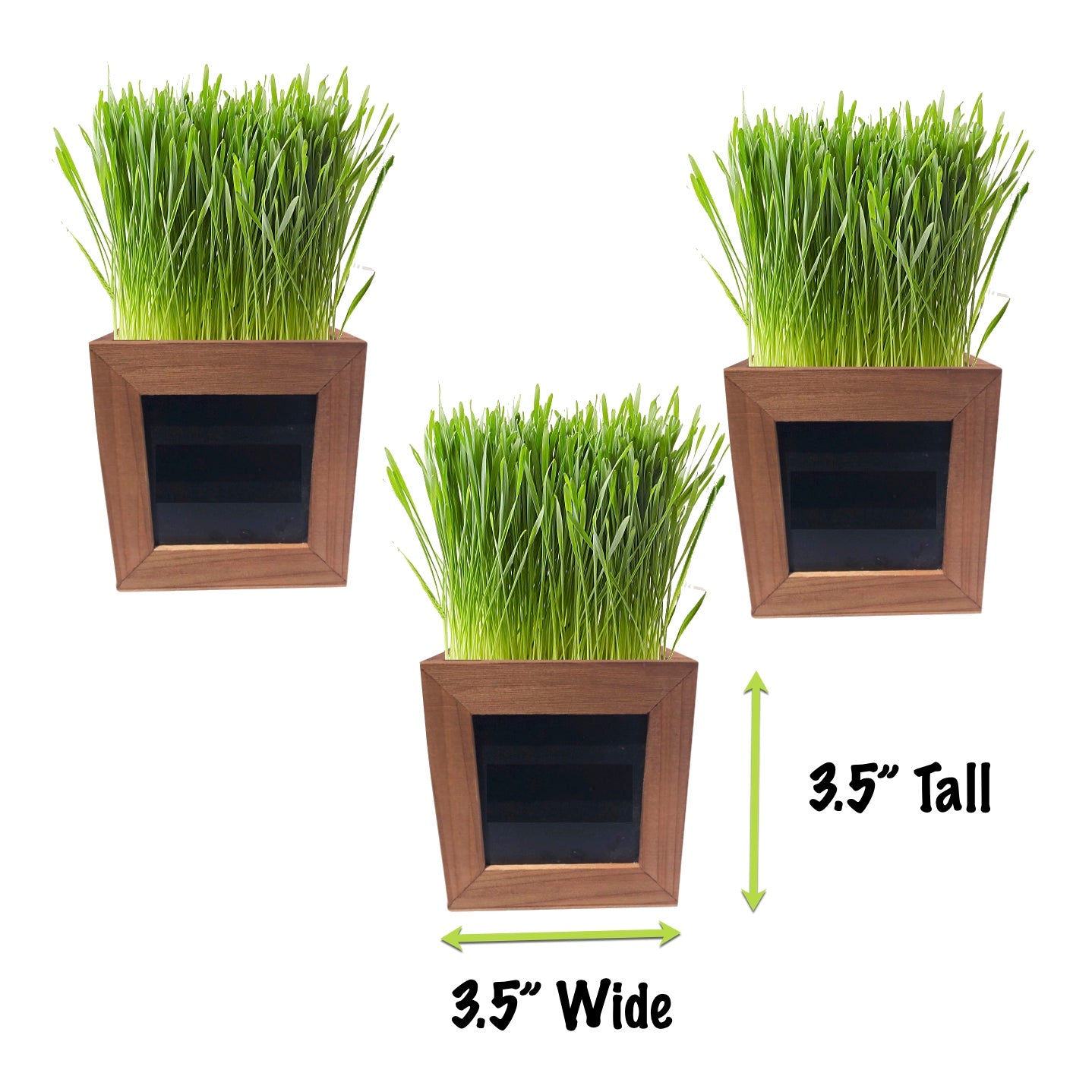 Cat Grass Growing Kit with 3 Mini Wooden Planters, Seeds & Soil.