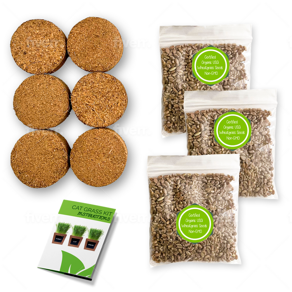 ZestiGreens Organic Cat Grass Refill Kit