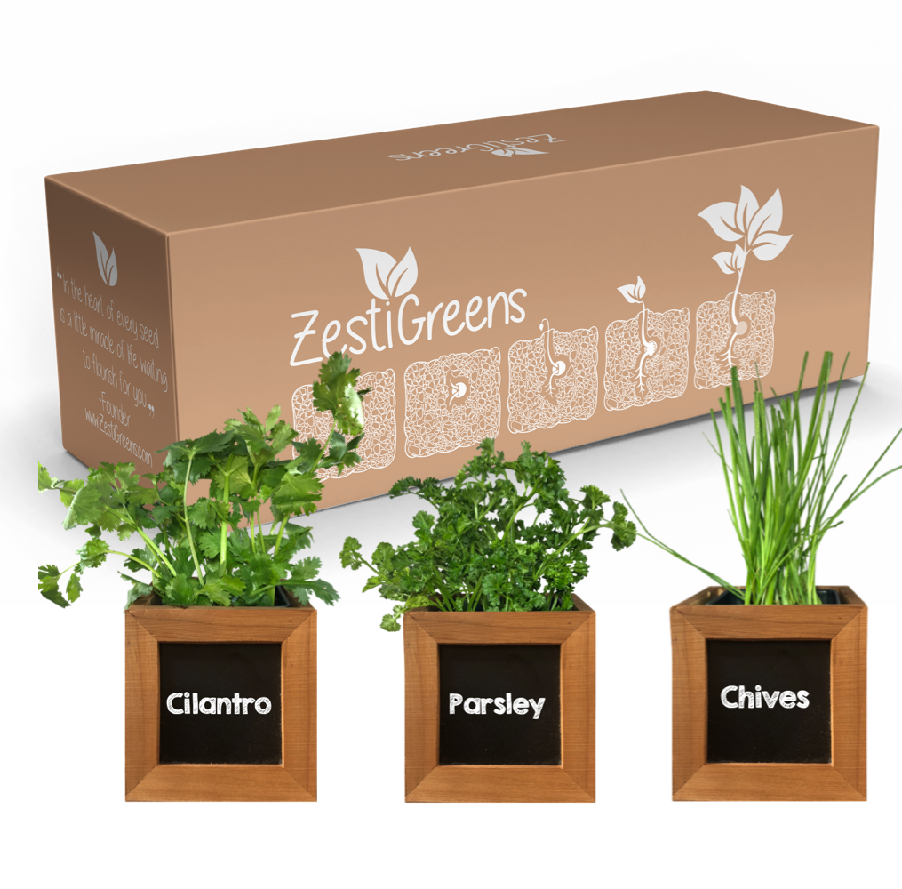 Herb Kit with Cilantro, Parsley & Chives Seeds