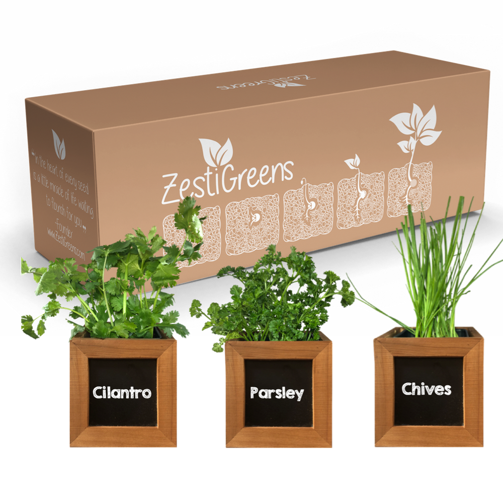 Herb Kit with Cilantro, Parsley & Chives Seeds