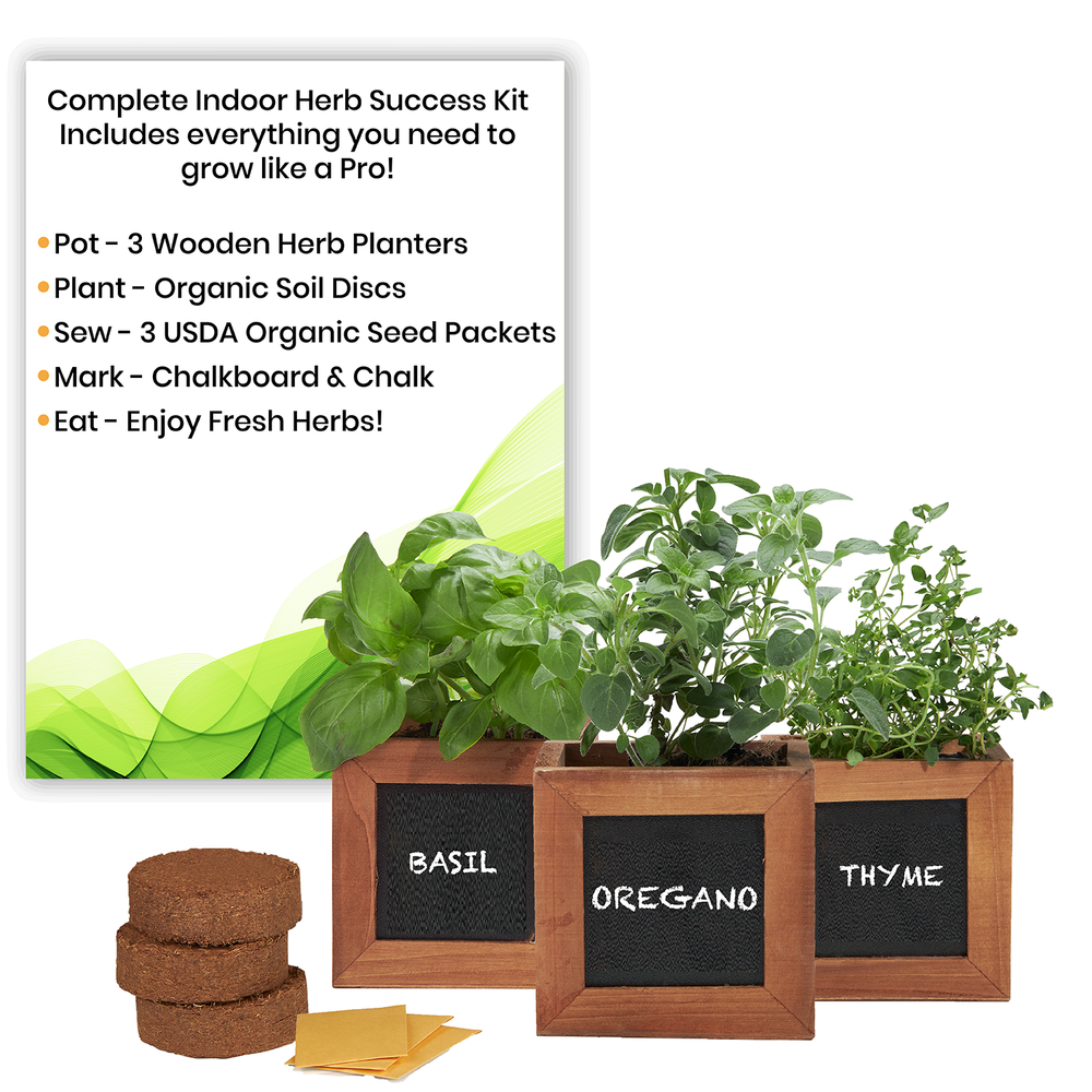 
                  
                    Herb Kit with Basil, Oregano & Thyme Seeds
                  
                