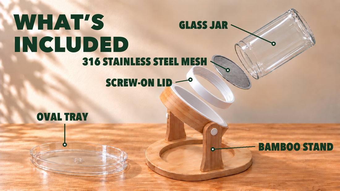 Illustration headed “What’s included”, showing the parts separated in the order they fit together: a glass jar, a round mesh disc, a white screw-on lid, the bamboo stand with its fitted white ring, and a clear oval tray on a wooden counter. Its labels read: Glass jar, 316 stainless steel mesh, Screw-on lid, Bamboo stand, Oval tray.