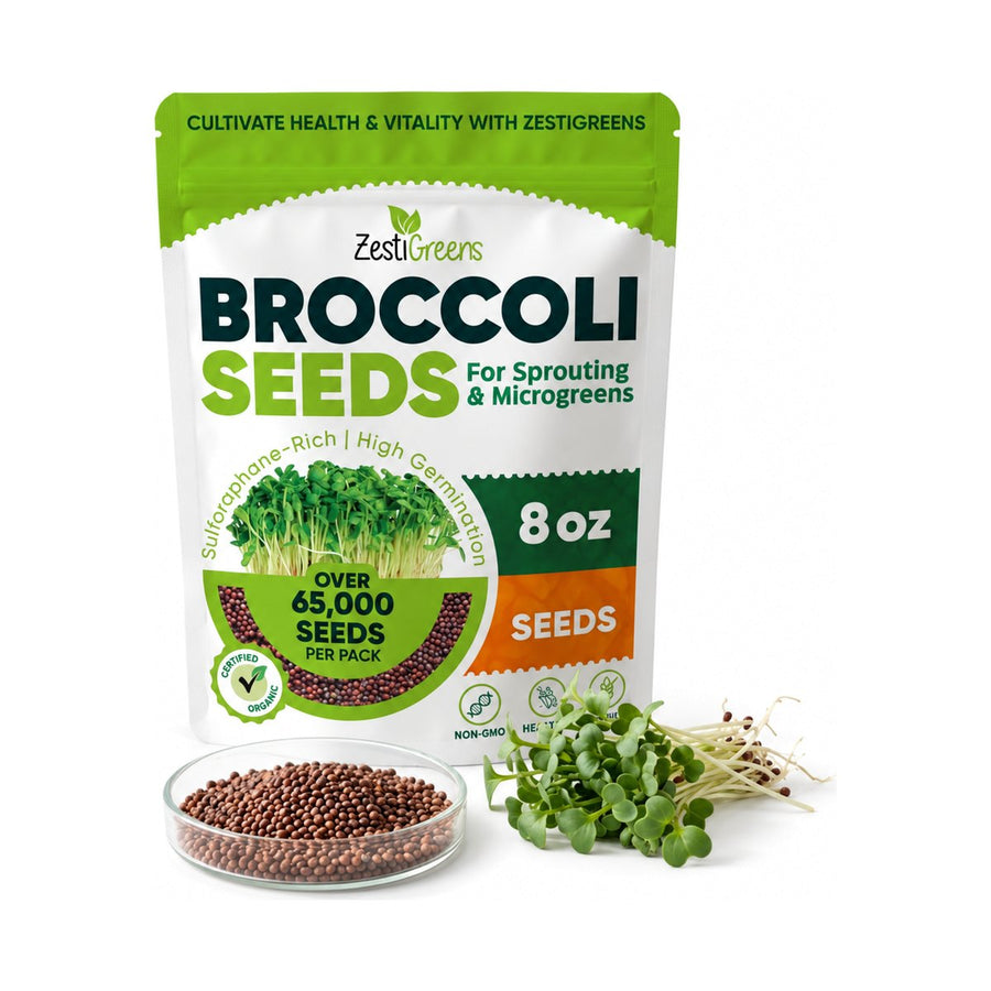 A pouch of ZestiGreens broccoli seeds with a dish of seeds and fresh sprouts