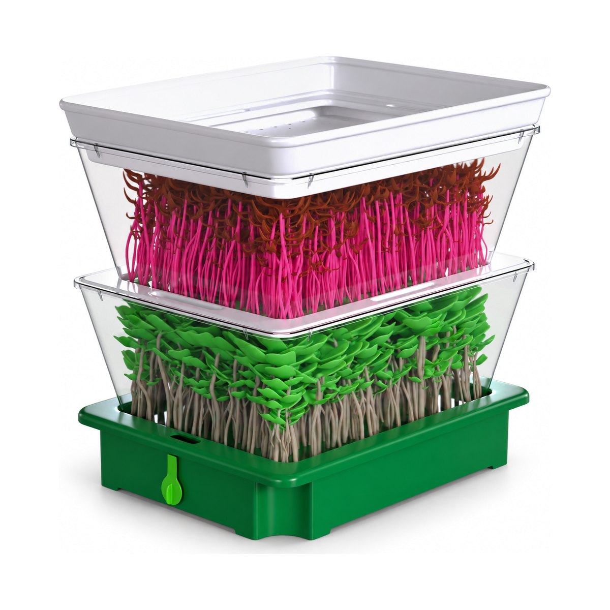 ZestiGreens tray sprouting trays