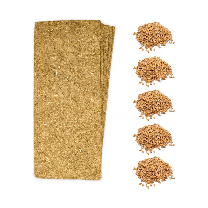Wheatgrass Kit Refill Pack · Five Crops